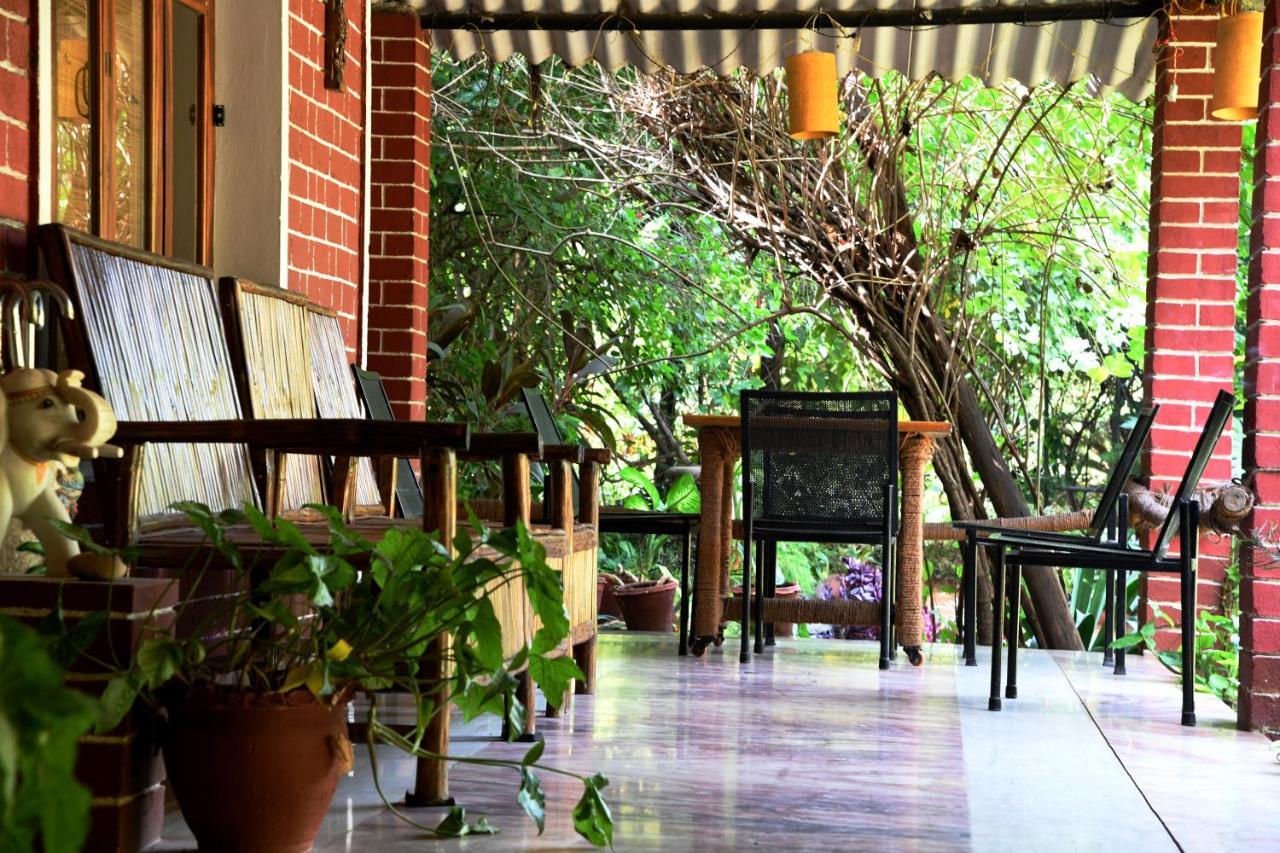 Baaz Jungle Resort Khawasa Екстер'єр фото