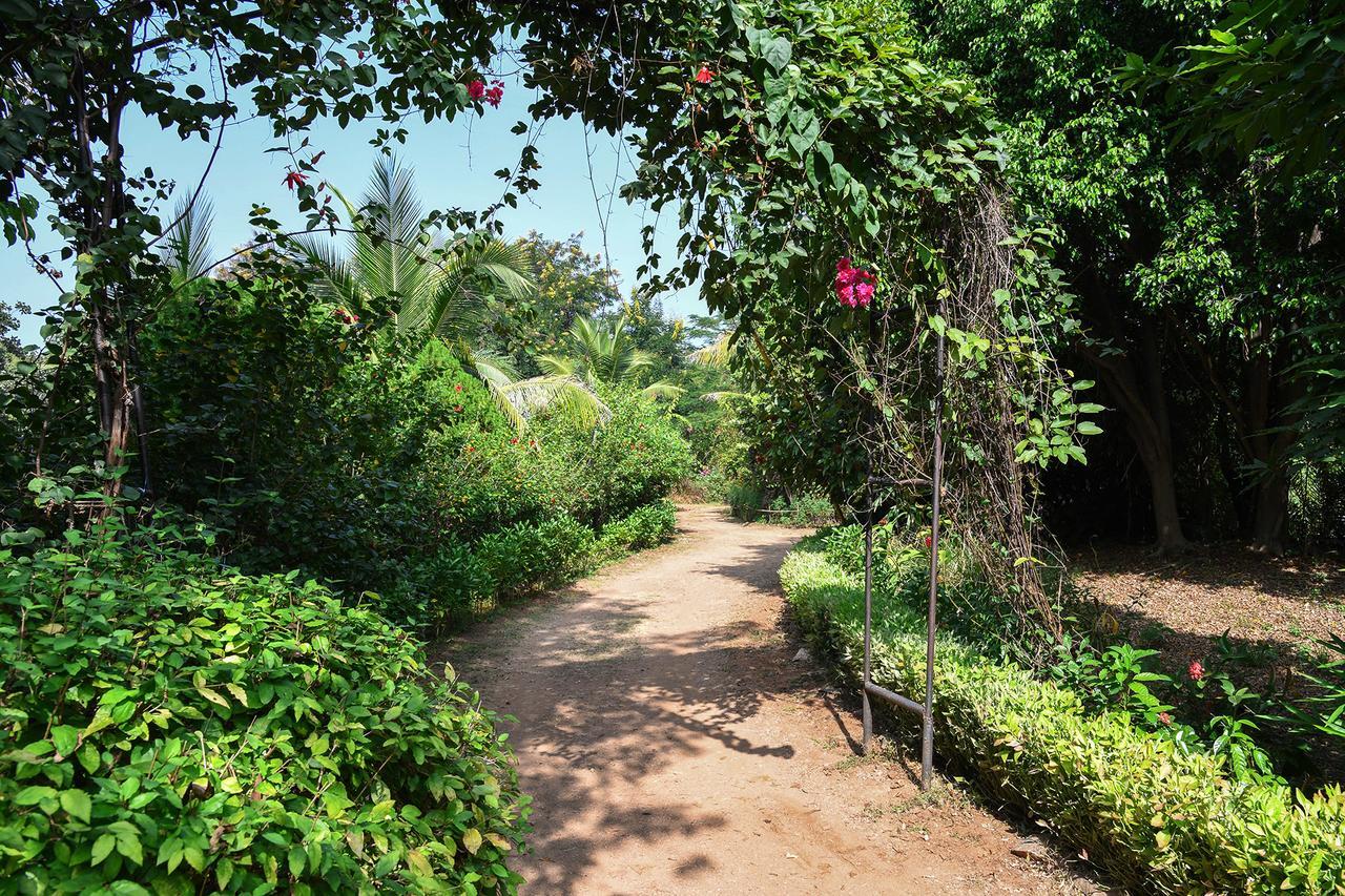 Baaz Jungle Resort Khawasa Екстер'єр фото