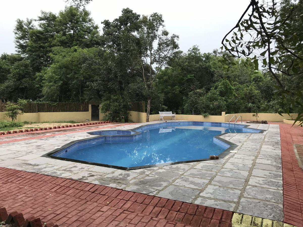 Baaz Jungle Resort Khawasa Екстер'єр фото