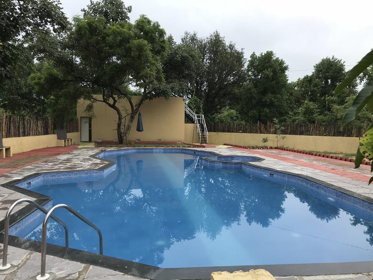 Baaz Jungle Resort Khawasa Екстер'єр фото