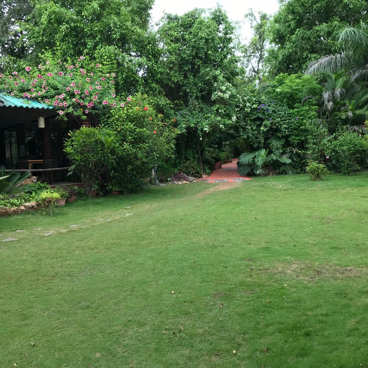 Baaz Jungle Resort Khawasa Екстер'єр фото