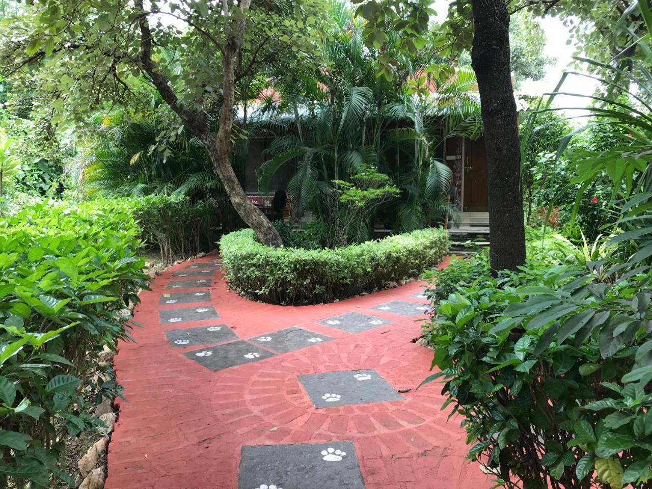 Baaz Jungle Resort Khawasa Екстер'єр фото
