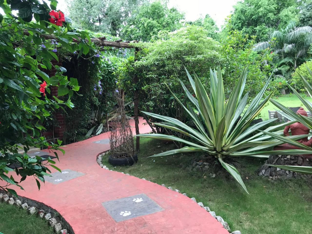 Baaz Jungle Resort Khawasa Екстер'єр фото