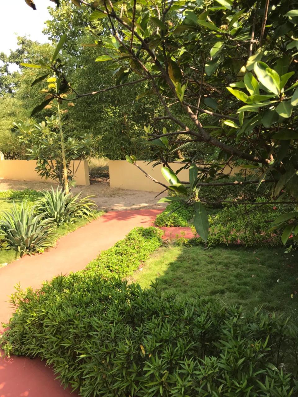 Baaz Jungle Resort Khawasa Екстер'єр фото